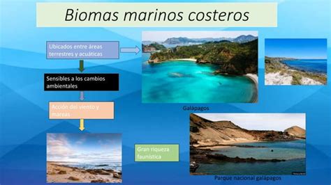 Biomas Marinos PPT