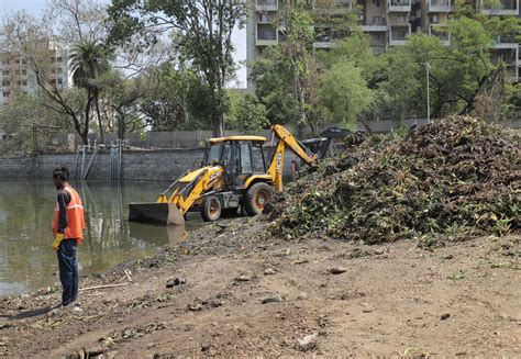 Green Invasion Supriya Sule Reviews Water Hyacinth Removal Work In