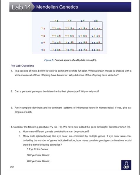 Solved Lab 14 Mendelian Genetics Learning Objectives Chegg