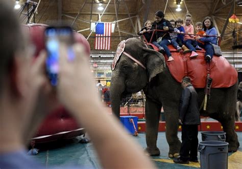 In Hamburg Rajah Shrine Circus Celebrates A Tradition Reading Eagle