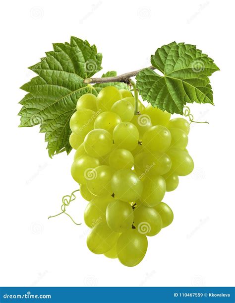 Grupo De Uvas Verdes As Folhas Isoladas No Fundo Branco Imagem De