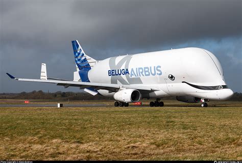 F WBXL Airbus Transport International Airbus A330 743L Beluga XL Photo