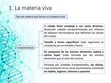 Tema 1 Quimica De La Materia Viva