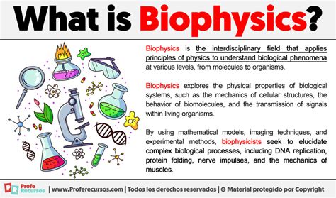 What Is Biophysics Definition Of Biophysics