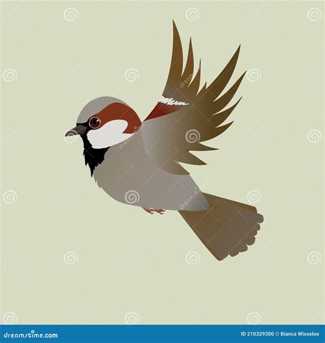 Sparrow Flying Animation Sprite Royalty Free Stock Photography