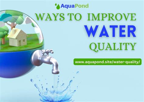 Ways To Improve Water Quality Aqua Pond