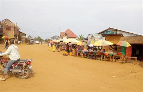 Walikale Impliqu Dans Lassassinat Des Jeunes Bashi Le Rebelle