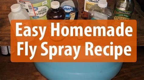 Easy Homemade Fly Spray Recipe • New Life On A Homestead Homemade