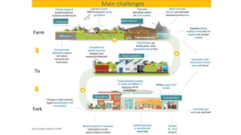 Main Challanges Matical Food Matical Innovation