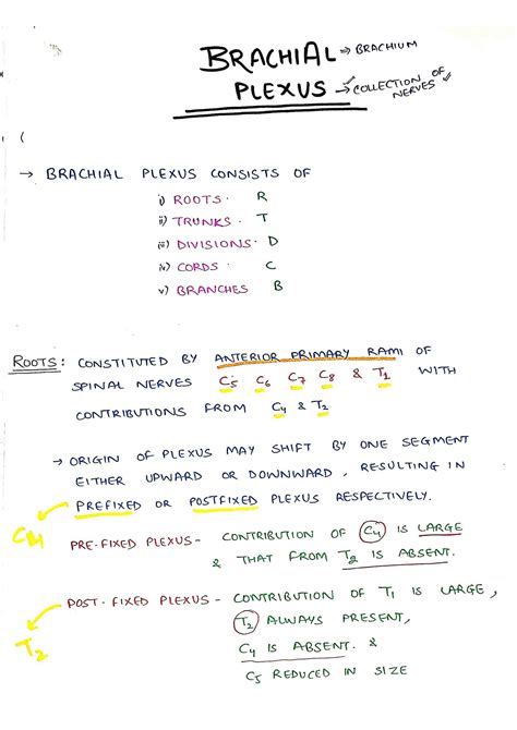 Solution Brachial Plexus Anatomy For Class X Xi Xii Bsc Nursing