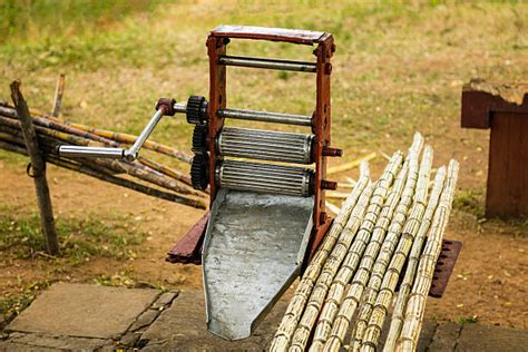 Sugar Cane Press