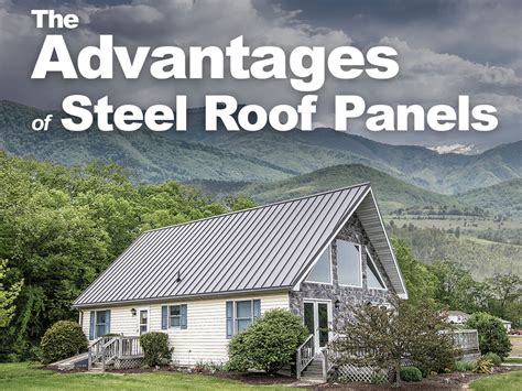 The Advantages And Disadvantages Of Steel Roof Panels