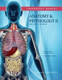 Anatomy and Physiology II; Online Course 1st edition | no print isbn, 9781680364378 | VitalSource