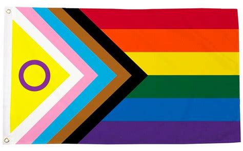 Regenbogenfahne Progress Inter Xl Flagge Ca X Cm Proudcommunity De