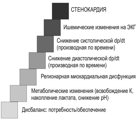 Патогенез ангинозной боли