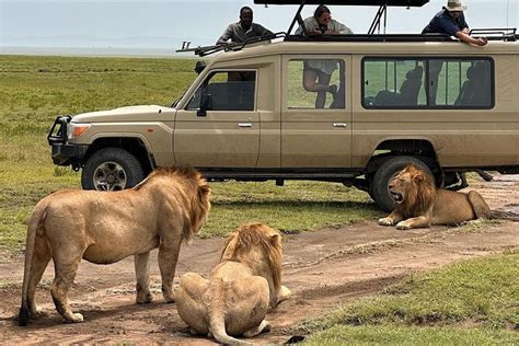 Days Private Safari Tour In Tanzania