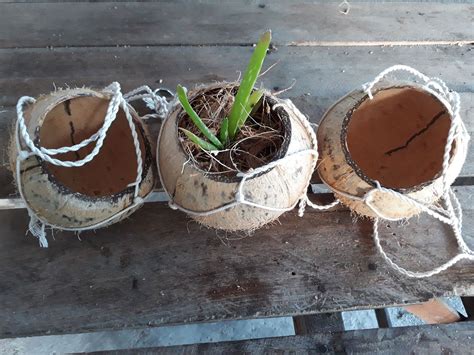 3 Pcs Coconut Shell Hanging Planter Natural Color Handmade Flower