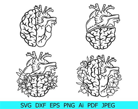 Brain Svg Heart Svg Brain With Heart Bundle Heart And Brain Png Brain