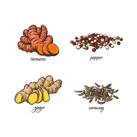 Esbo O De Desenho Animado Vetorial Desenhado M O Especiarias Temperos