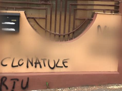 Ce s a întâmplat cu ultrașii care i au vandalizat casa lui Sorin Cârțu