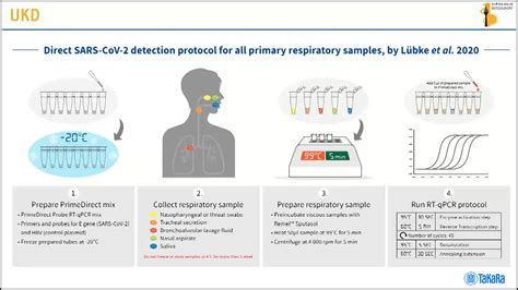 Extraction Free SARS CoV 2 Rapid RT QPCR Detection Protocol For All