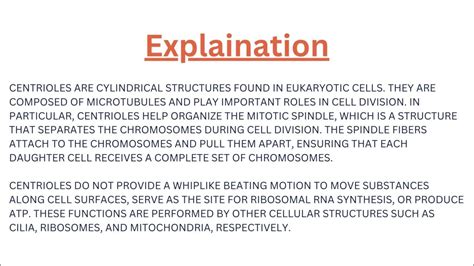 The Functions Of Centrioles Include Organizing The Mitotic Spindle In