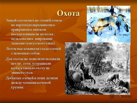 Презентация на тему: "Оленеводческо – промысловое хозяйство ( охота ...
