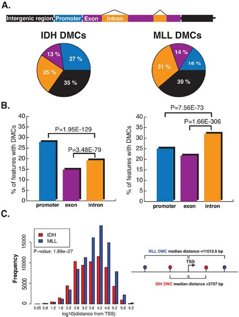 Dmcs Affect Distinct Genomic Regions In Idh Mut And Mllr Amls A Top