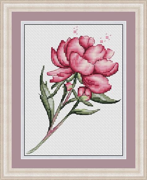 Pink Peony Counted Cross Stitch Pattern PDF Flower Summer Etsy