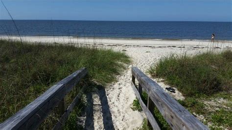 Alligator point beach | Beach, Outdoor, Photography