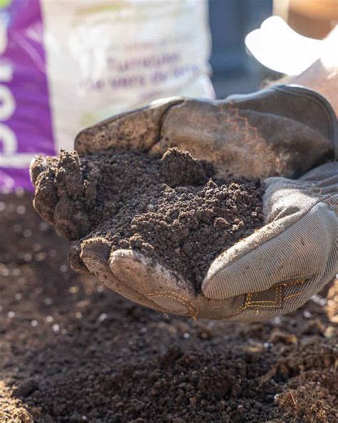 Compost vs Topsoil: Differences & Uses - Urban Farm and Kitchen