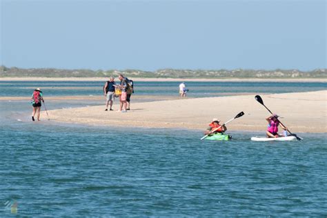 Shackleford Banks OuterBanks