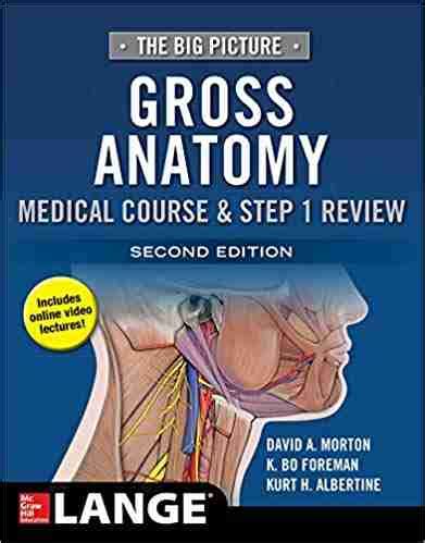 The Big Picture Gross Anatomy PDF 2nd Edition Free Download