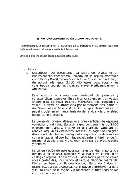 Semana Estructura Para El Informe Final Ptf Individuo Y Medio