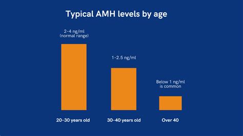 How To Increase Amh Levels What You Need To Know