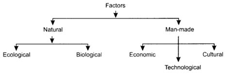 Sociology Class 11 Notes Chapter 2 Terms, Concepts and their Use in Sociology - Learn CBSE