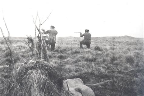 Examen De Conciencia En Tierra Del Fuego De Noviembre D A Del