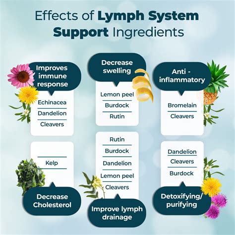 Purehealth Research Lymphatic Drainage Pills Lymph System Support