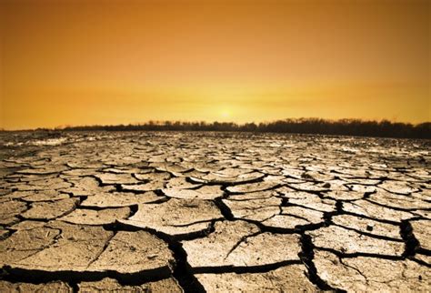 O que se altera com as alterações climáticas?