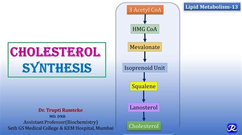 13 Cholesterol Synthesis Lipid Metabolism 13 Biochemistry N Joy Biochemistry Youtube