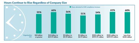 15 Years On Sox Costs Still Rising For Us Based Corporates Ctmfile