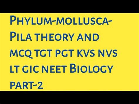 Phylum Mollusca Theory And Mcq Tgt Pgt Kvs Nvs Lt Gic Neet Biology