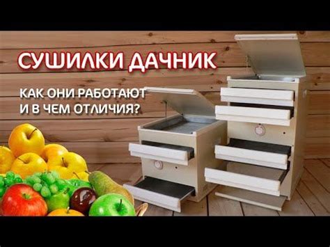 Сушильный шкаф дачник 2м - фото