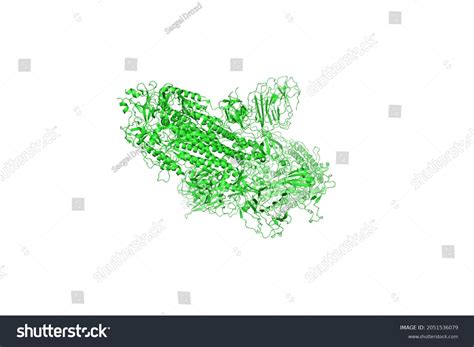 Sarscov2 Spike Glycoprotein Structure Complex Protein Stock ...