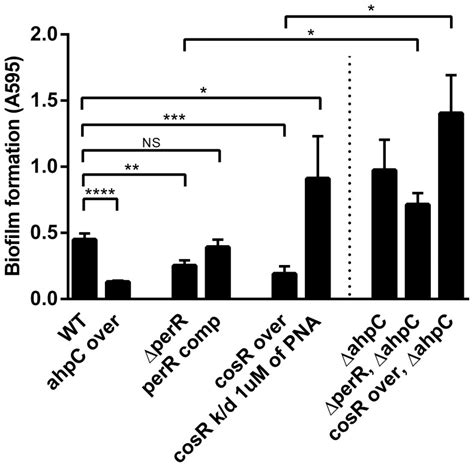 Biofilm Formation Levels Were Determined With Crystal Violet Staining Download Scientific