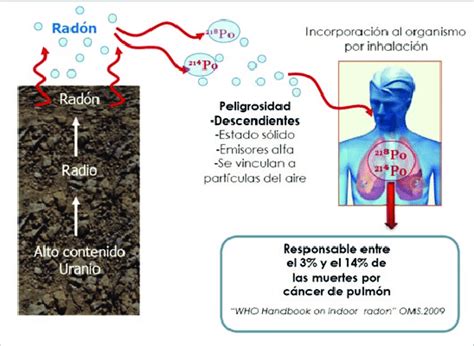 Esquema Del Origen Del Radón Y Su Peligro Para La Salud Fuente Csn