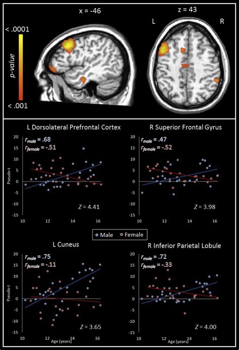 Sex Differences In The Correlation Between Theta Activity And