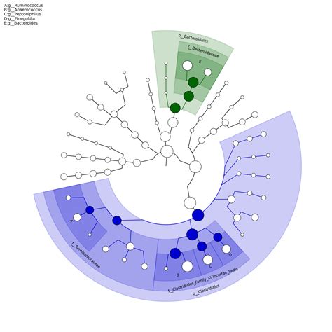 Whole Genome Shotgun Metagenomics Sequencing Data Analysis