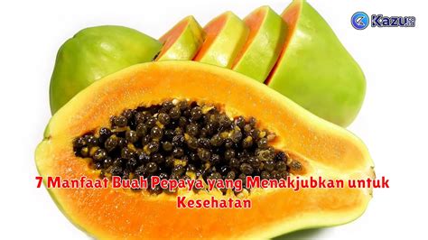 Manfaat Buah Pepaya Yang Menakjubkan Untuk Kesehatan Life Style