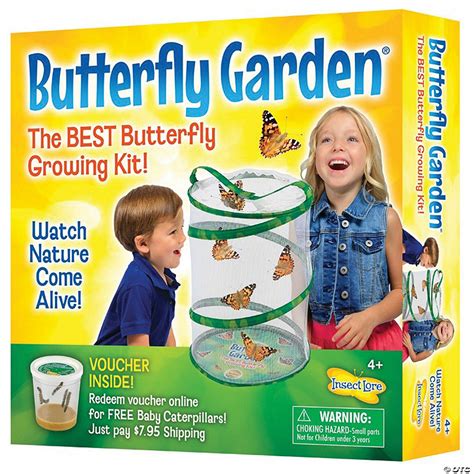 Insect Lore Butterfly Garden Growing Kit Oriental Trading